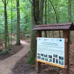 W Parku Na Mazurach * Mrągowo