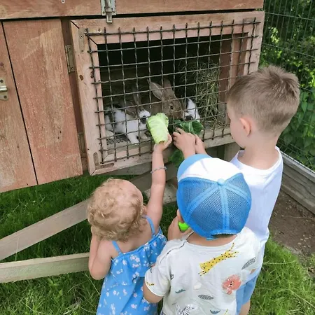 Nyaraló W Parku Na Mazurach Mrągowo