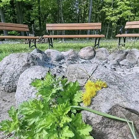 W Parku Na Mazurach *
