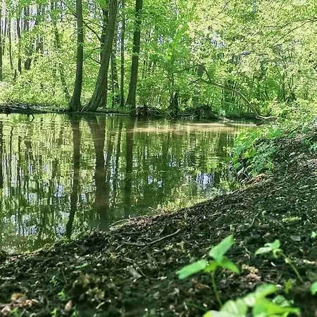 Nyaraló W Parku Na Mazurach